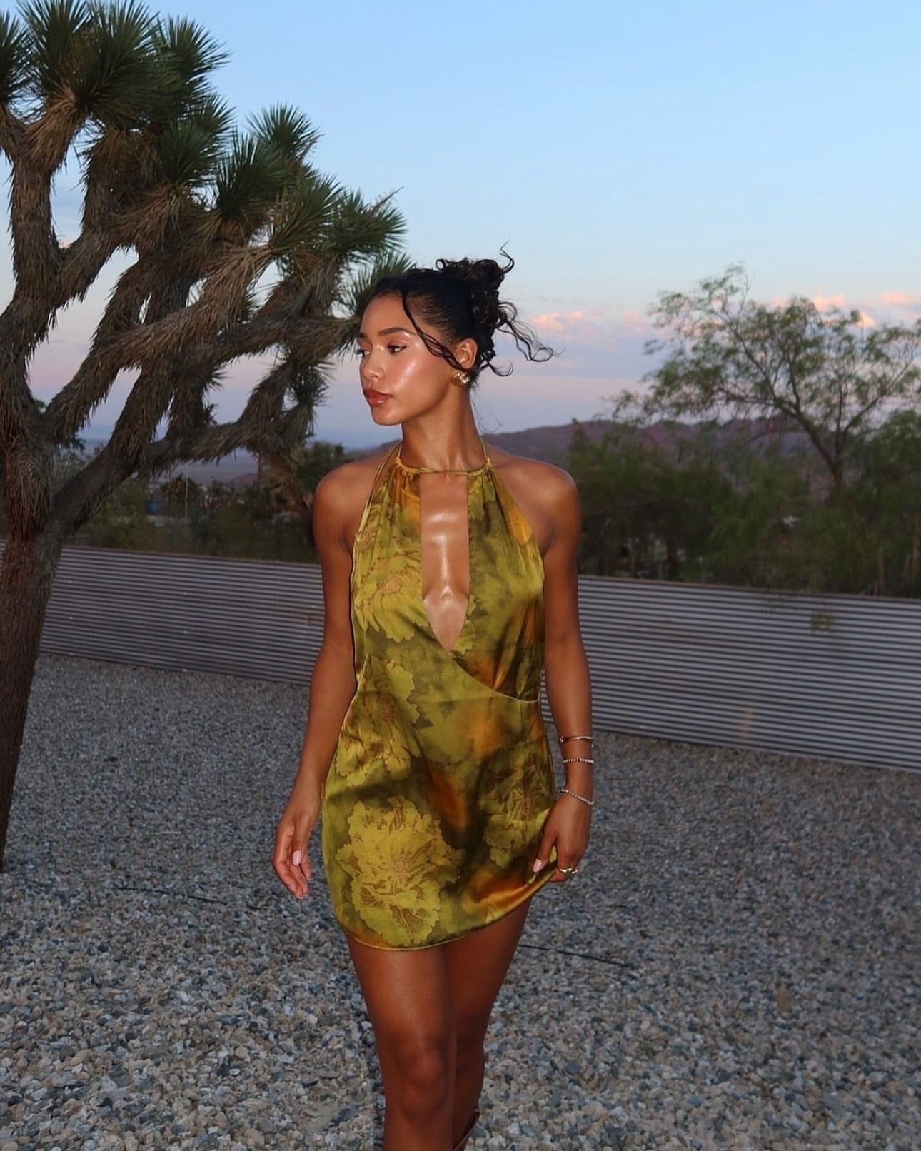 Oriana Mini Dress