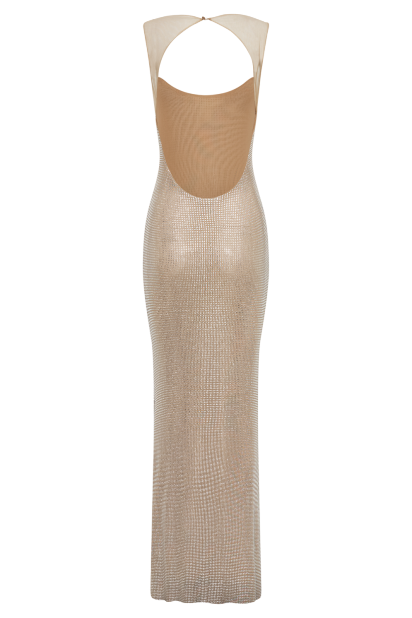 Maria Mesh Maxi Dress