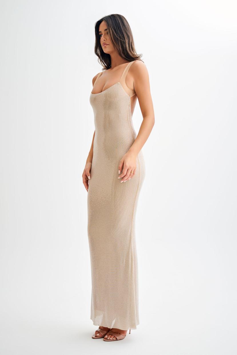 Maria Mesh Maxi Dress