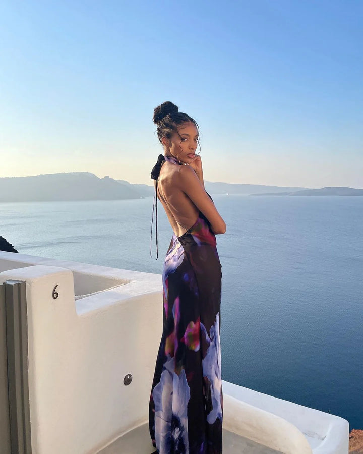 Zendaya Maxi Dress