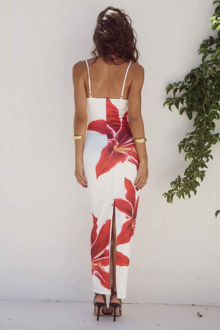 Melina Maxi Dress
